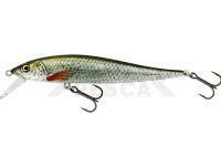 Westin Jerkbite SR 9cm 8g Suspending - Real Roach