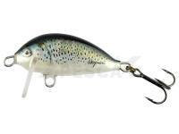 Señuelo Hegemon Winner 3 - Pstrąg Potokowy (Brown trout)
