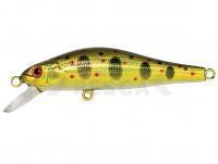 Señuelo Adam's Jerkbait 50 SP SR | 50mm 3g - HG Gold Amago