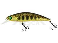 Señuelo Adam's Zero Arise Minnow 60mm 6.1g - Gold Amago