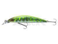 Señuelo Daiwa Tournament Current Master 93F-SR | 9.3cm 12g - chart back zebra