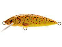 Señuelo Dorado Classic C-5 Floating TR