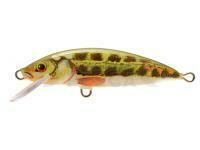 Señuelo Dorado Classic C-5 Sinking MN