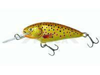 Señuelo Dorado Invader I-9 Floating TR