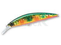 Señuelo duro Duel Hardcore Heavy Minnow Sinking 90mm 29g - HGGC (F1189-HGGC)