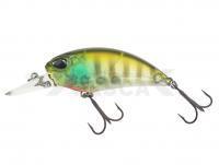 Señuelo Duo Realis Crank M65 8A 6.5cm 14g - CCC3158 Ghost Gill