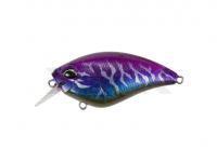 Señuelo DUO Realis Apex Crank 66 Squared 66mm 17.7g | 2-5/8in 5/8oz  - CCC3272 AM Magic