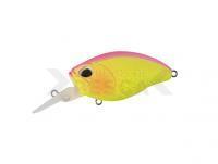 Señuelo Duo Realis Crank 48MR Kabuki BottomRush 48ｍｍ 10.5g - ACCZ160