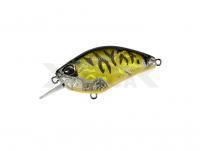 Señuelo DUO Realis Crank Kabuki 55 SR | 55mm 9.7g | 2-1/8in 3/8oz -  CDX3933 Champagne Tiger