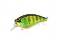 Señuelo Duo Realis Crank Mid Roller 40F | 40mm 5.3g | 1-3/8in 3/16oz - AJA3055 Chart Gill Halo