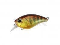 Señuelo Duo Realis Crank Mid Roller 40F | 40mm 5.3g | 1-3/8in 3/16oz - AOA3503 Komochi Gill