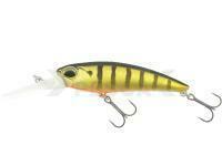 Señuelo DUO Realis Shad 62DR - ASA3146