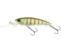 Señuelo DUO Realis Shad 62DR - CCC3158