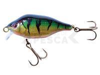 Señuelo Fox Rage Funk Bug 40mm 4g SR - UV Original Perch