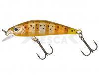 Señuelo duro Gunki Gamera 50 HW - Stripped Trout