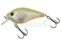 Señuelo Gunki Kraken 55 F | 55mm 9.6g - Chart Back