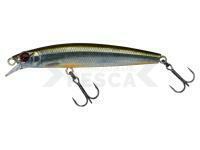 Señuelo Illex Battle Minnow 80 F | 80mm 6.3g - Roach