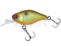 Señuelo duro Illex Chubby 38 MR | 38mm 4.0g - Muddy Roach