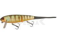 Señuelo Illex Flat Bone Clicker 22cm 48g - Aggressive Perch