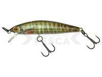 Señuelo Illex Flat Fly 50 SP 50mm 2.3g - RT Spawning Vairon