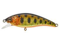 Señuelo duro Illex Flat Tricoroll 45 S - HL Gold Trout