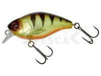Señuelo Illex Magnum Chubby 50mm 8.3g - Angry Perch