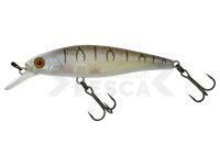Señuelo duro Illex Squad Minnow 95 SP - Tiger Bone