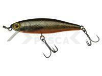 Señuelo duro Illex Tiny Fry 50 SP RT - RT Arctic Char