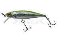 Señuelo duro Illex Tiny Fry 50 SP RT - RT Visible Roach