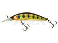 Señuelo Illex Tricoroll GT 56 MD F 4.3g - HL Gold Trout