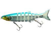 Señuelo Jaxon Atract Ameo 12cm 19g - B