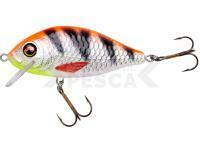 Señuelo Jaxon Holo Select Karaś Nature 3D 7cm 13g - OR