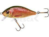 Señuelo Jaxon Holo Select Karaś Nature 3D 8cm 14g - PG