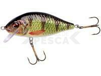 Señuelo Jaxon Holo Select Karaś Nature 3D 9cm 17g - OH