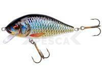 Señuelo Jaxon Holo Select Karaś Nature 3D 9cm 17g - PB