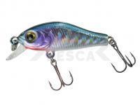 Señuelo Jenzi T-Rex Wobbler Minnow Trout 35SR 35mm 2g - D