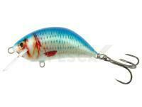 Señuelo Kenart Hunter Plus 6cm 13g - NRB