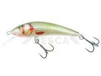 Señuelo Kenart Sneck Shallow 10cm 18g - NRG