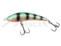 Señuelo Kenart Sneck Shallow 10cm 18g - P