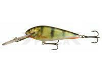 Señuelo duro Kenart Troll SDR 10cm 22g - PG