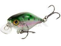 Señuelo Lucky John Chubby 4F - 028