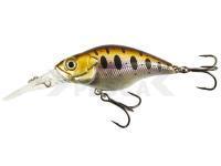 Señuelo duro Lucky John Shady Crank 6F | 6cm 12g - A029