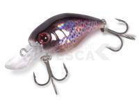 Quantum Señuelo duro Magic Trout Hustle and Bustle Lake 2g - brown trout