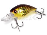 Quantum Señuelo duro Magic Trout Hustle and Bustle Lake 2g - roach