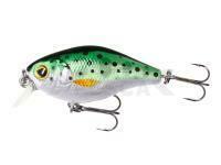 Señuelo duro Mikado Fishunter Bold Head 40mm 3.5g - Rainbow Trout