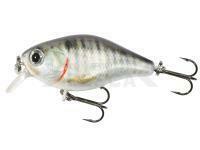 Señuelo duro Mikado Fishunter Bold Head 40mm 3.5g - Y28