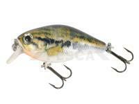 Señuelo duro Mikado Fishunter Bold Head 40mm 3.5g - Y36