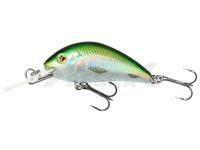 Señuelo duro Mikado Fishunter Cavalier 40mm 3.6g - Olive Bleak