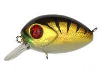 Señuelo Pontoon21 Baby Red Rag 32F SR | 32mm 4.8g - 307 Crash HG Gold Perch