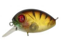 Señuelo Pontoon21 Baby Red Rag 32F SR | 32mm 4.8g - 837 MI Gold Perch